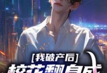 陈述苏晴晚小说的结局在哪可以看，我破产后，校花翻身成总裁要养我？免费阅读完结版-红妆文学