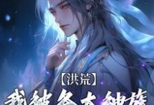 洪荒:我被各大神族当皮球踢精彩章节阅读(陆文)免费阅读大结局-红妆文学