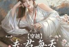 穿越:夫君每天都在争风吃醋精彩章节阅读(沈夏多夫)免费阅读大结局-红妆文学