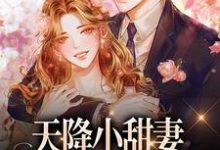 天降小甜妻：偏执大佬抱着哄小说资源求分享，天降小甜妻：偏执大佬抱着哄徐蓁沈凌风在线阅读-红妆文学