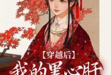 穿越后，我的黑心肝相公太撩人无弹窗李希赵承泽最新章节列表-红妆文学