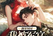 飘零异国,我被军官强制爱精彩章节阅读(孟喃枝纪恙)免费阅读大结局-红妆文学