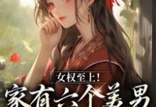 完结版女权至上！家有六个美男是什么体验在哪免费看，言卿小说在线阅读-红妆文学