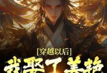 穿越以后，我娶了美艳宗主当老婆无弹窗貂长聚柳漓烟最新章节列表-红妆文学