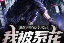 小说取得墨家传承后,我被系花盯上了主角陈瀚宁欣楠免费阅读-红妆文学