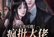无处可逃！疯批大佬强制爱热门小说(姜亦乔)在线阅读无弹窗-红妆文学