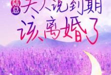 小说婚情几许:陆总,夫人说到期该离婚了主角姜瓷陆禹东免费阅读-红妆文学