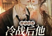 致命招惹：冷战后他靠撒娇求和精彩章节阅读(李书妤许况)免费阅读大结局-红妆文学