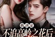 我决定不追高岭之花后，他急了在线看，樊璐陆斯钦小说大结局在哪免费看-红妆文学
