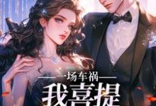 一场车祸，我喜提妻女一双？（陈芸赵乾志）最新章节免费在线阅读-红妆文学
