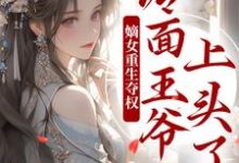 两世欢：公府嫡女她是真的狂完结版叶流锦免费阅读大结局-红妆文学