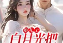 沈矜陈槿之小说大结局,沈矜陈槿之小说无广告阅读-红妆文学
