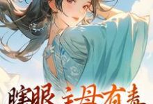瞎眼主母有毒，不做也罢大结局，端木静姝小说无广告阅读-红妆文学