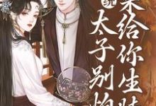 系统：太子别怕，我来给你生娃了热门小说(许锦意)在线阅读无弹窗-红妆文学