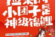 捡来的小团子是神级锦鲤最新章节捡来的小团子是神级锦鲤在线阅读-红妆文学