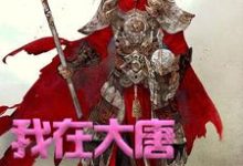 我在大唐卖军火小说资源求分享，我在大唐卖军火方二在线阅读-红妆文学