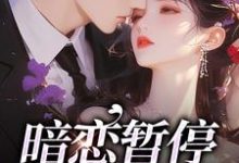 暗恋暂停，开始恋爱无弹窗宋霜序贺庭洲最新章节列表-红妆文学