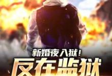 新婚夜入狱!反在监狱成大佬(秦风林婉儿)最新章节在线阅读-红妆文学