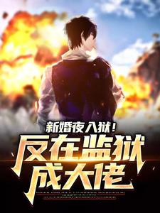 新婚夜入狱！反在监狱成大佬（秦风林婉儿）最新章节在线阅读