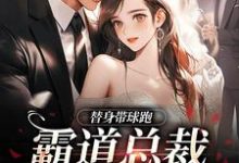 替身带球跑,霸道总裁深陷火葬场免费阅读,苏溪傅晏辞大结局无弹窗-红妆文学