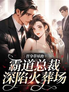 替身带球跑，霸道总裁深陷火葬场免费阅读，苏溪傅晏辞大结局无弹窗