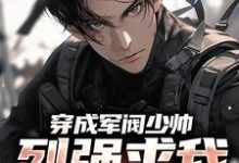 求助这本穿成军阀少帅，列强求我别扩军了小说在哪里可以看完结版-红妆文学