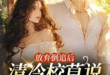 放弃倒追后，清冷校草说他喜欢我完结版苏晚秋免费阅读大结局-红妆文学
