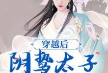小说穿越后，阴鸷太子为爱发疯主角苏锦东陵璟免费阅读-红妆文学