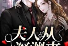 夫人从深渊来小说资源求分享，夫人从深渊来简茵熹傅霆灏在线阅读-红妆文学