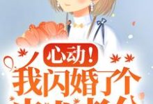 心动！我闪婚了个忠犬老公大结局，楼阮小说无广告阅读-红妆文学