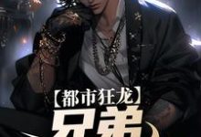 亲哥出狱，带我起飞有错吗精彩章节阅读(宋渔向影)免费阅读大结局-红妆文学