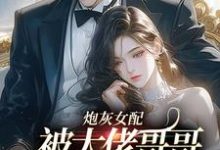 跪求主角是袁央央的小说书名叫什么-红妆文学