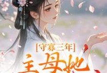 主人公是沈溪苓的小说守寡三年，主母她一夜有喜免费阅读-红妆文学