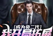 小说成为负二代,我开局拓展海外市场主角苏辰免费阅读-红妆文学