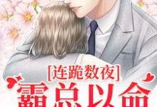连跪数夜，霸总以命换我重生大结局，夏晚南枭小说无广告阅读-红妆文学