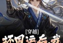 小说穿越:坏国运后,我要飞升成仙(李天唐含雪)最新章节在哪看-红妆文学