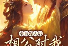 奉旨嫁人后，相公对我爱不释手大结局，林思棠北辰砚小说无广告阅读-红妆文学