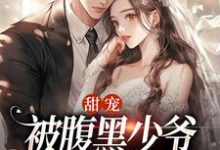 甜宠：被腹黑少爷藏起来的娇宝大结局，沈初棠时承煜小说无广告阅读-红妆文学
