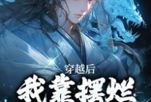 穿越后,我靠摆烂咸鱼大翻身免费阅读,林阳白幼薇大结局无弹窗-红妆文学