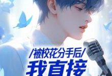 被校花分手后,我直接演唱会封神精彩章节阅读(苏灿)免费阅读大结局-红妆文学