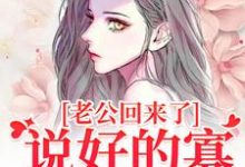 小说老公回来了?说好的寡妇生活呢!主角林云青陆长东免费阅读-红妆文学