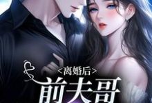 主人公是景钰李岩松的小说离婚后,前夫哥苦等我回头免费阅读-红妆文学