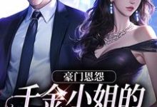 豪门恩怨：千金小姐的贴身保镖完结版沈湛陆熙免费阅读大结局-红妆文学
