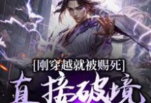 求助这本刚穿越就被赐死，直接破境陆地神仙小说在哪里可以看完结版-红妆文学