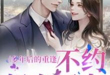 多年后的重逢，不约，姐有男友小说最新章节在哪里可以免费看-红妆文学