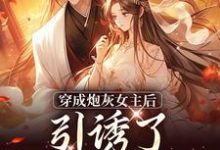 小说踹掉言情男主，勾搭男频帝王（沈毓灵权明赫）最新章节在哪看-红妆文学