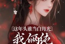 温沅李昭小说的结局在哪可以看，这年头谁当白月光，我俩纯纯走剧情免费阅读完结版-红妆文学