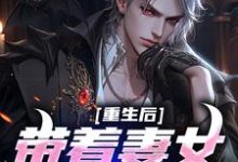 重生后带着妻女疯狂捞金无弹窗谢昭林暮雨最新章节列表-红妆文学