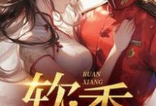 宋翊小说免费阅读最新章节列表，不是大哥，你兜这大一圈就为娶我小说在线看-红妆文学