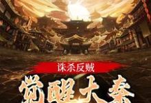 诛杀反贼，觉醒大秦千年气运免费阅读，嬴启大结局无弹窗-红妆文学